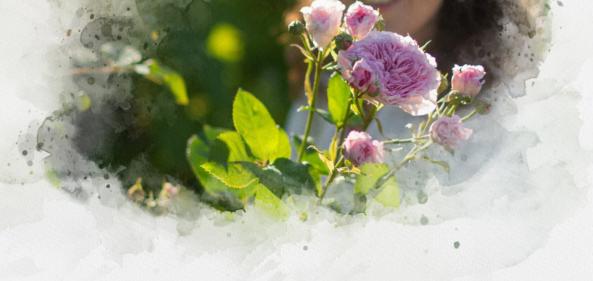 Aménagement de jardin esthétique et naturel dans les Alpes du sud