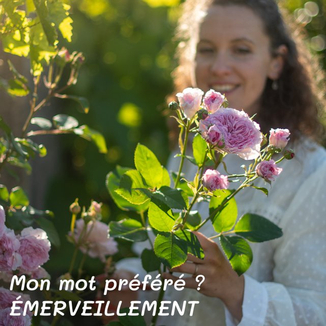 Aménagement de jardins fleuris