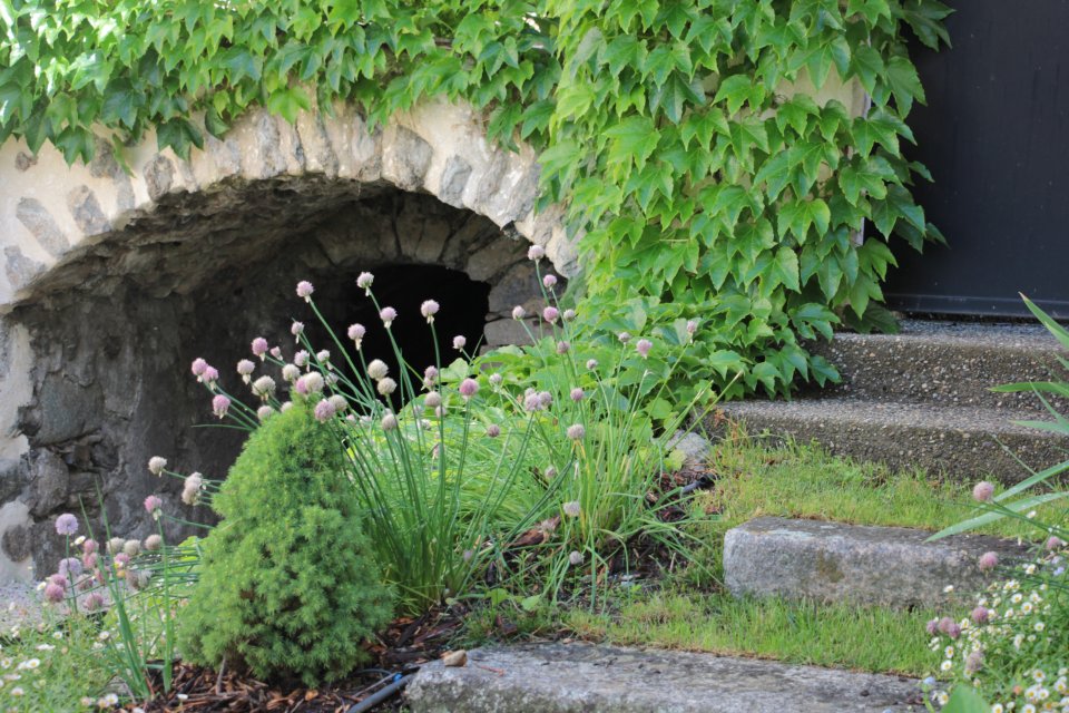 Aménagement d'un jardin de montagne romantique dans les Hautes Alpes