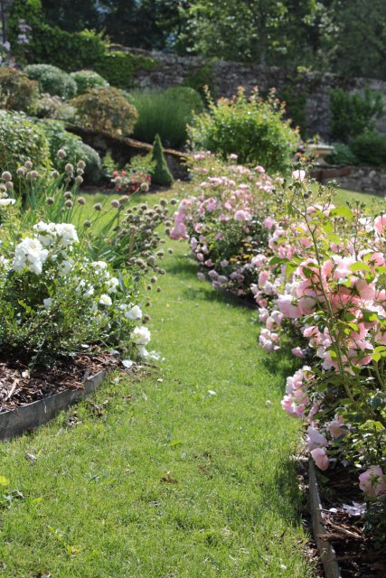 Aménagement d'un jardin de montagne romantique dans les Hautes Alpes