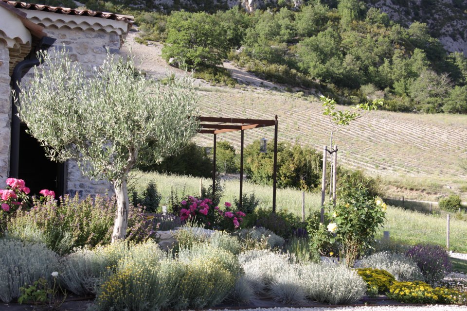 Jardin naturel de gite en haute provence, près de Sisteron