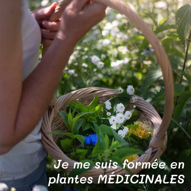Conception de jardin médicinal