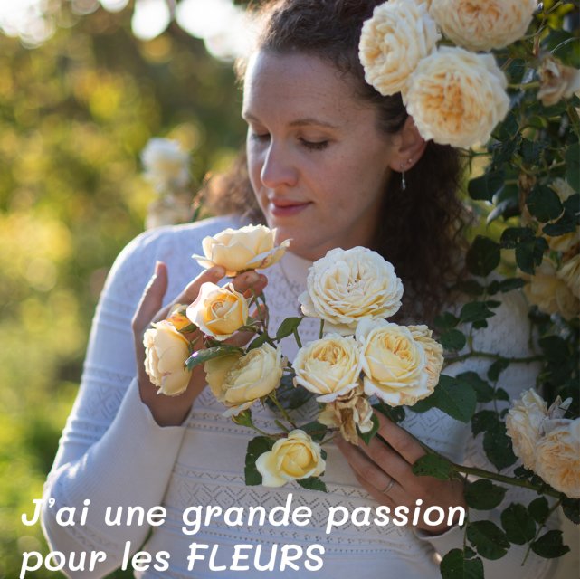 Conception de jardins de roses