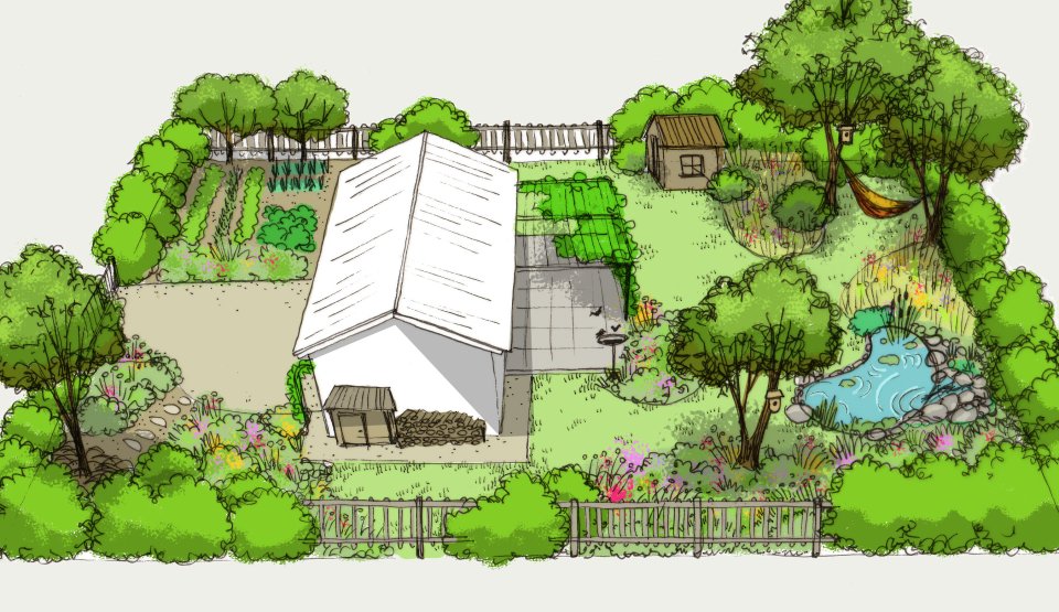 Dessin d'un jardin résilient