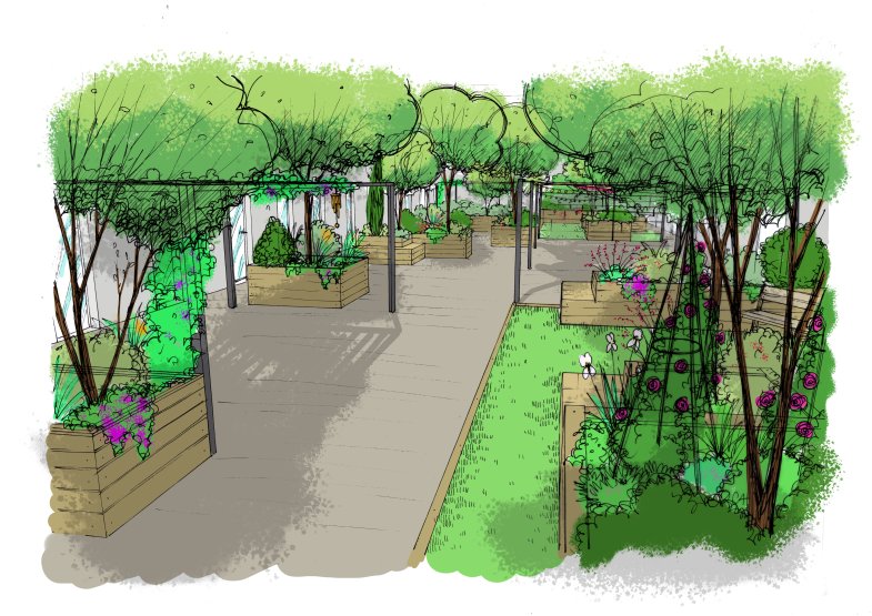 Croquis de l'intérieur du jardin thérapeutique