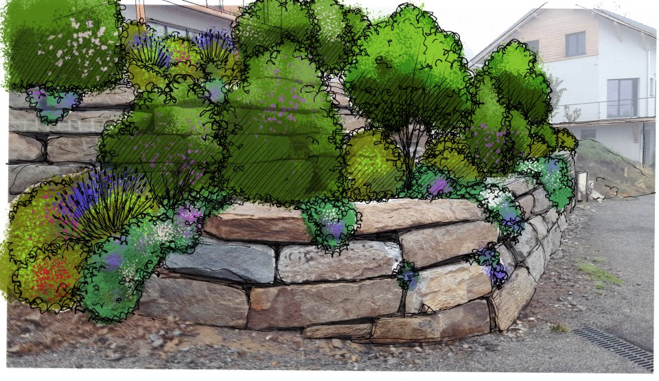 Végétaux agencés de façon à masquer un grand enrochement