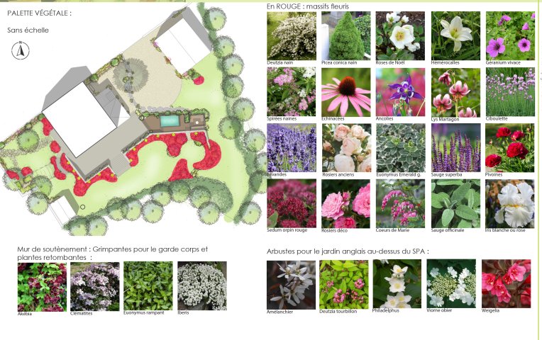 L'architecte paysagiste conseille sur le choix des végétaux à travers une palette végétale adaptée au terrain en montagne