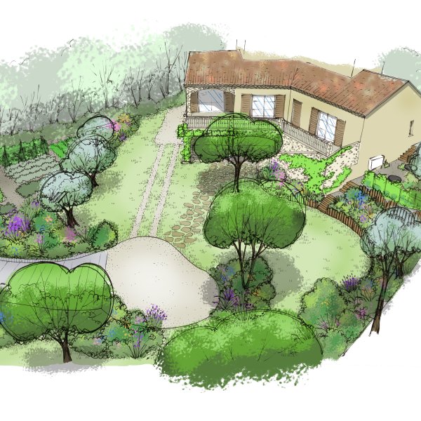 Dessin de l'aménagement d'un jardin en pente